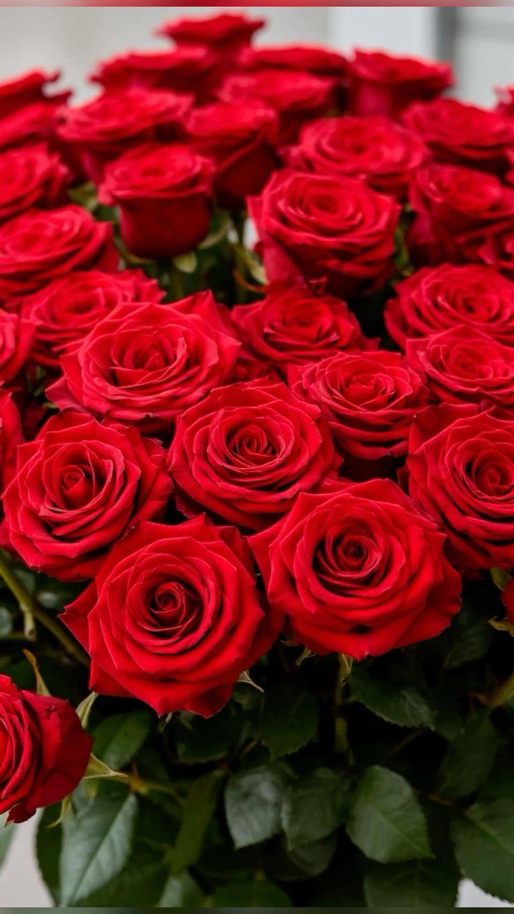 Corporate meeting room with carefully timed floral arrangements that maintain elegance throughout business hours